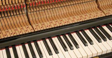 Stimmwirbel klavier - Die hochwertigsten Stimmwirbel klavier im Vergleich